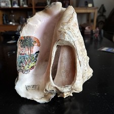 Antique Rare large Conch Shell Art: Hand-Painted Art tourist 
