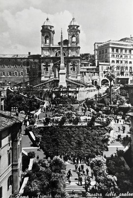 Roma Trinità dei montimastra delle aralee 1960s old card