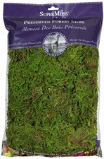 SuperMoss 25322 Forest Moss Preserved, Fresh Green, 8oz