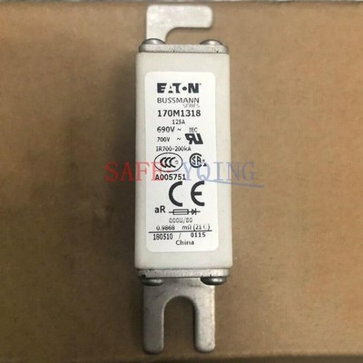 1PCS NEW NEW     quick fuse 170M1318 fuse 125A 690V #zb