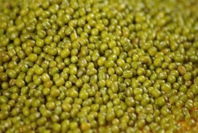 Moong Bean Whole- Vigna Radiata Green Gram Sabut Hare Mung for Sprouting