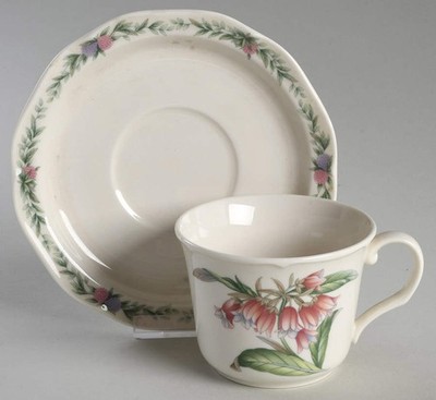 Noritake Conservatory Cup & Saucer 427031