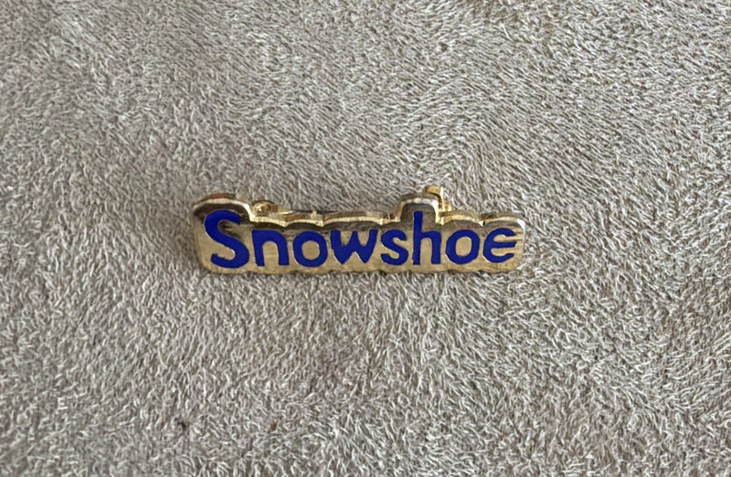 Vintage 80's/90's Snowshoe Resort Mtn Logo Ski Skiing Slope Vintage Pin