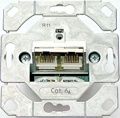 GIRA Netzwerkdose 2fach Cat.6A IEEE 802.3an Einsatz 245200 Anschlussdose