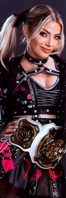 WWE AEW TNA NXT GIANT 2 X6  VINYL BANNER - ALEXA BLISS