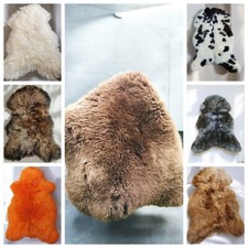 Echte Schaffelle | Bis 155cm | Lammfell | XXL Top-Öko-Fell-Teppich | Erste Wahl