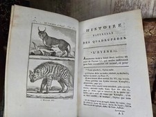 1799 BUFFON - NATURAL HISTORY OF QUADRUPEDS - Hyena, Wolf, Guinea Pig, Pangolin