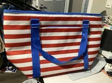 oniva - a picnic time brand insulated tote 13x22