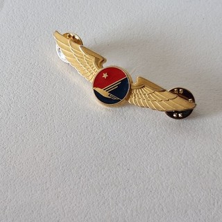 VINTAGE ALASKA AIRLINES AIR LINES PILOT WINGS TAG UNIFORM PIN BADGE