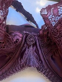 NWT Dita Von Teese Starlift Bra 34DD Decadent Plum