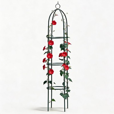 NEU GARTEN OBELISK KLETTERPFLANZE BLUMEN STAHLRAHMEN EINFACHE MONTAGE GROW STÜTZE