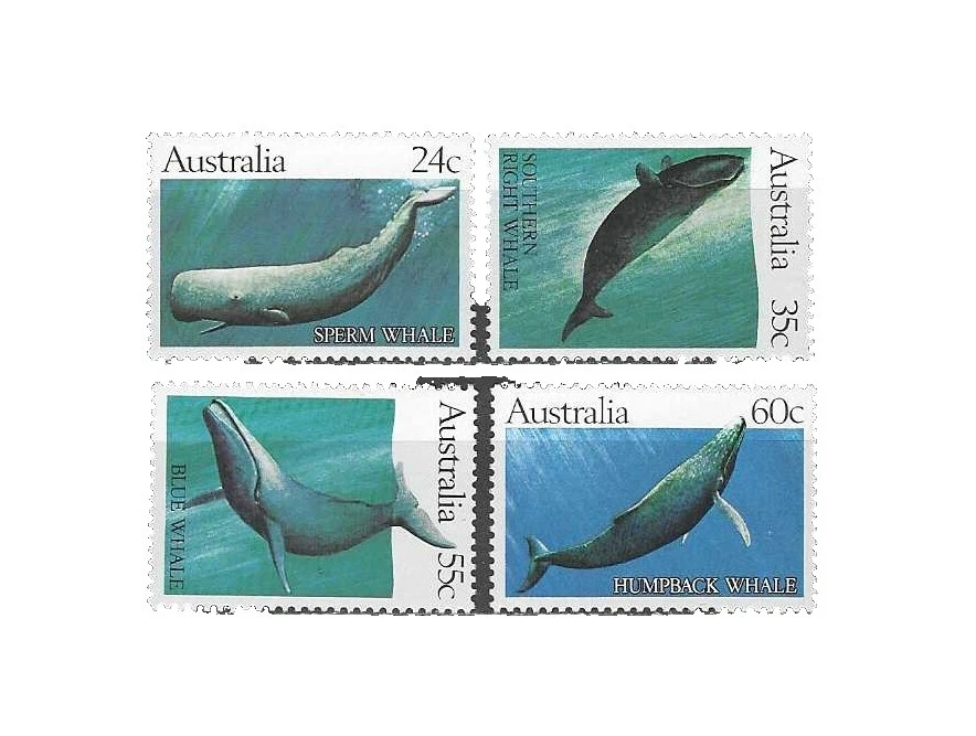 En excelente estado nunca abisagrado/estampillada sin montar o nunca montada ballenas estampillas australianas