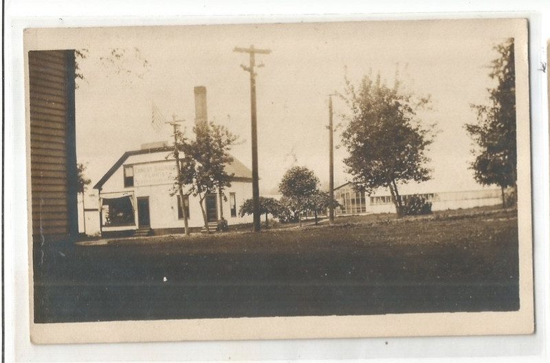 RPPC WHITINSVILLE MASSACHUSETTS REAL PHOTO  ERNEST SAUNDERS FLORIST GREENHOUSE