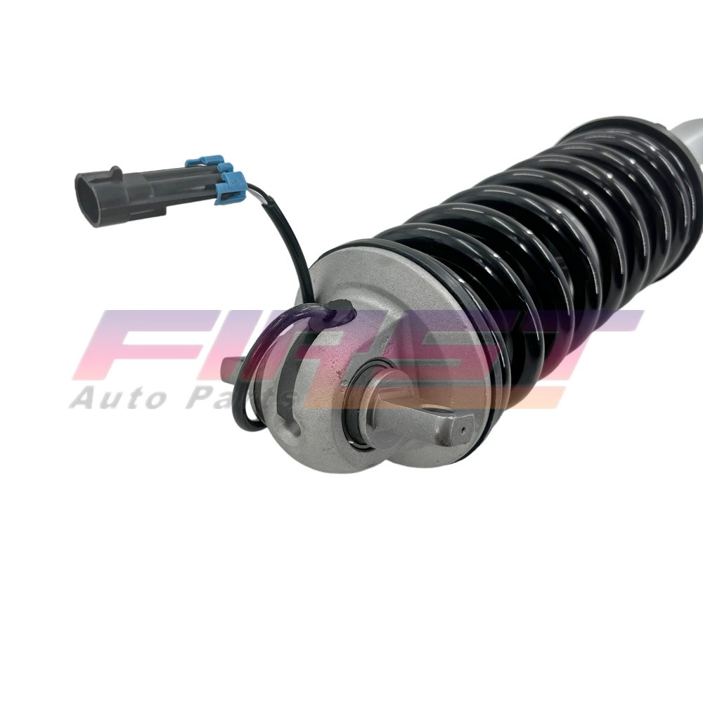 Ferrari F430 Spider 16M 2005-2009 Front Right Strut assemblies 2 pcs P/N 213396