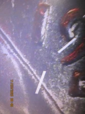 1956-D LINCOLN CENT GEM WDMM-001 D AND S VARIETY "THE MUIR COLLECTION"   840