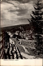 RPPC Predeal Cioplea Vedere vintage postcard z126