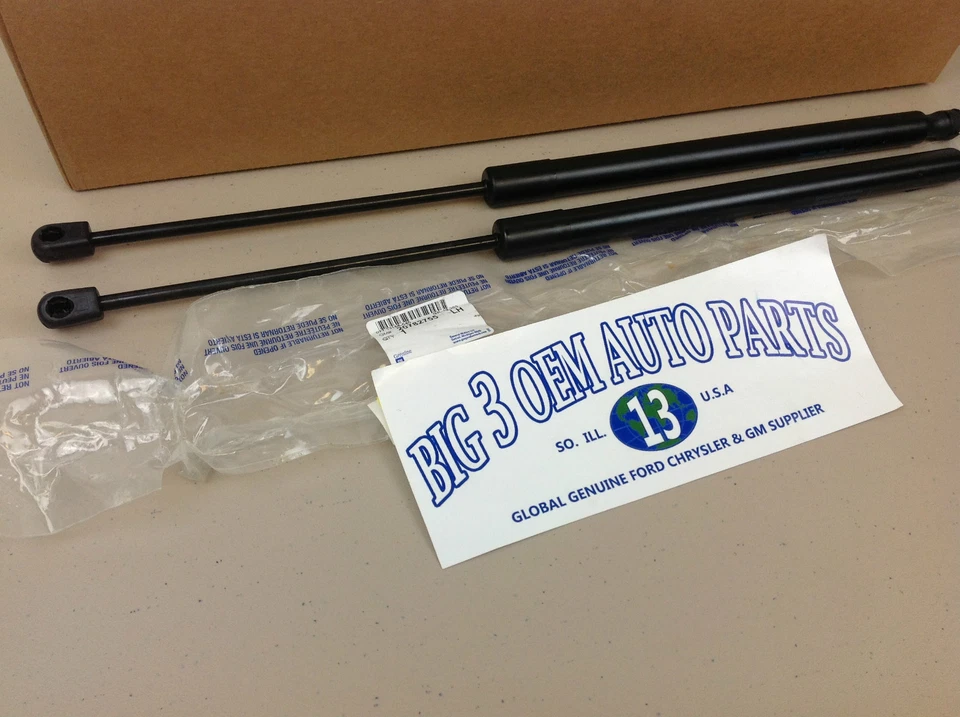 Puerta levadiza trasera derecha y izquierda GMC Acadia Saturn Outlook puntal de elevación/asistencia nuevo OEM Foto 2 de 3