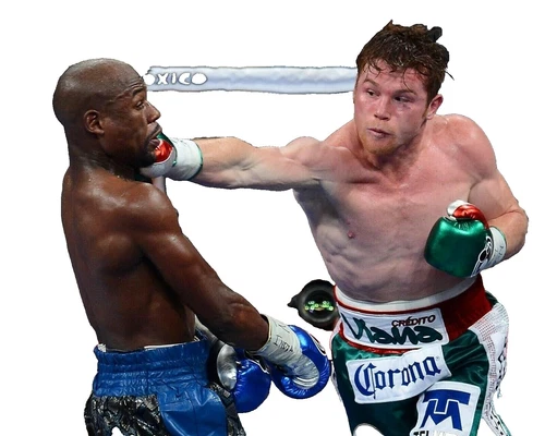 Floyd Mayweather Jr Boxing Fan Photos