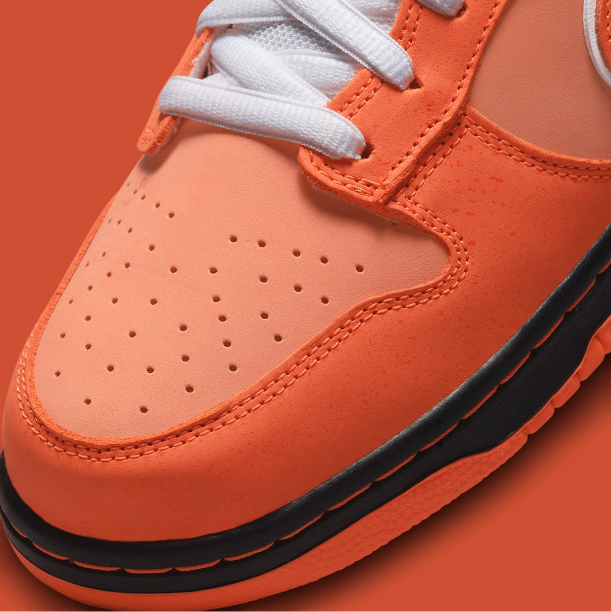 SPECIAL BOX Concepts Nike SB Dunk Low Orange Lobster 9.5 SPECIAL BOX Concepts Nike SB Dunk Low Orange Lobster 9.5
