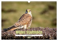 "Calendar 2027 · US Version · Wild City Life In Munich (Wall Calendar 2027 17\" ×"