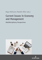 Current Issues In Economy And Management | Multidisciplinary Perspectives | Buch