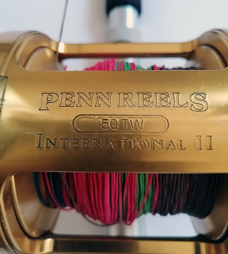 Canna da Pesca DAIWA Per Traina D'Altura Completa Di Mulinello Penn Reels 50 TW - Foto 7 di 17