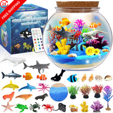Ocean Light Up Terrarium Kit 5.6 inches x x inches, Multicolor