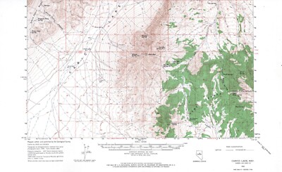 Carico Lake Quadrangle Nevada 1962 Topo Map Vintage USGS 15 Minute Topographic