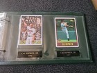Foto 8 di 8