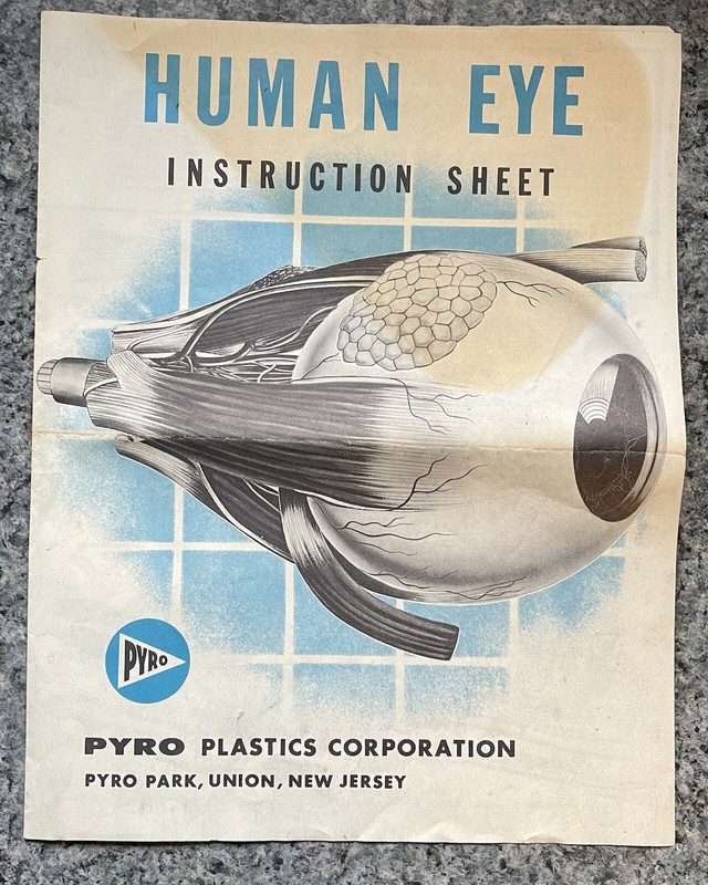 The Human Eye by Pyro 1960 Instructions Only. No Rips Or Tears!