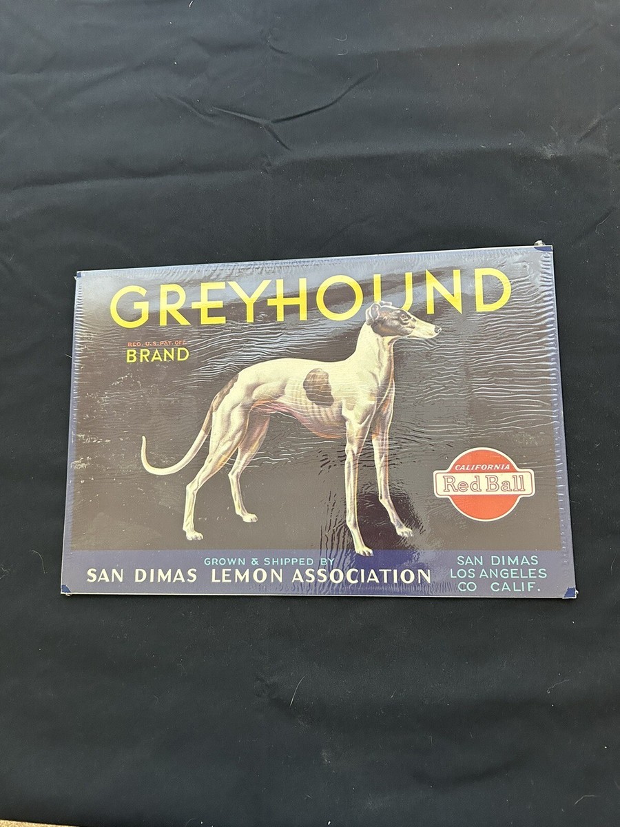 San Dimas Greyhound Dog Lemon Citrus Fruit Crate Label Vintage Art