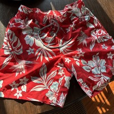 mens speedo swim L