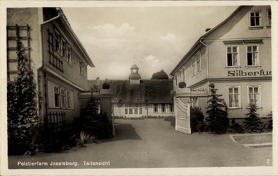 Ak Tabarz im Thüringer Wald, Pelztierfarm Inselsberg - 11568517