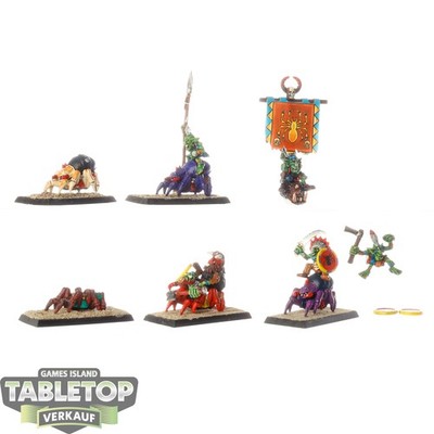 Orc & Goblin Tribes - 5 x Forest Goblin Spider Riders klassisch - bemalt