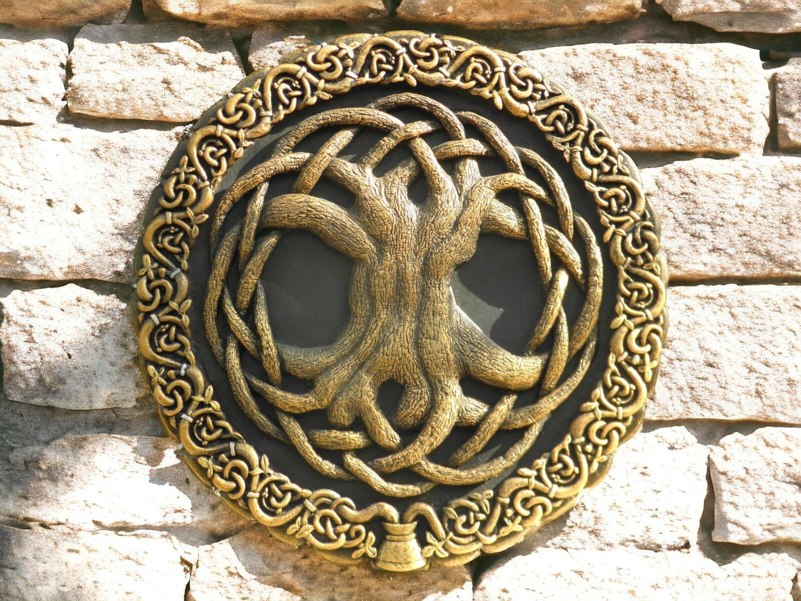 Picture 5 of 8
