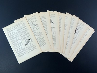 20 Vintage Book Pages, Old Bird Encyclopedia Paper Pack, for crafts journal art