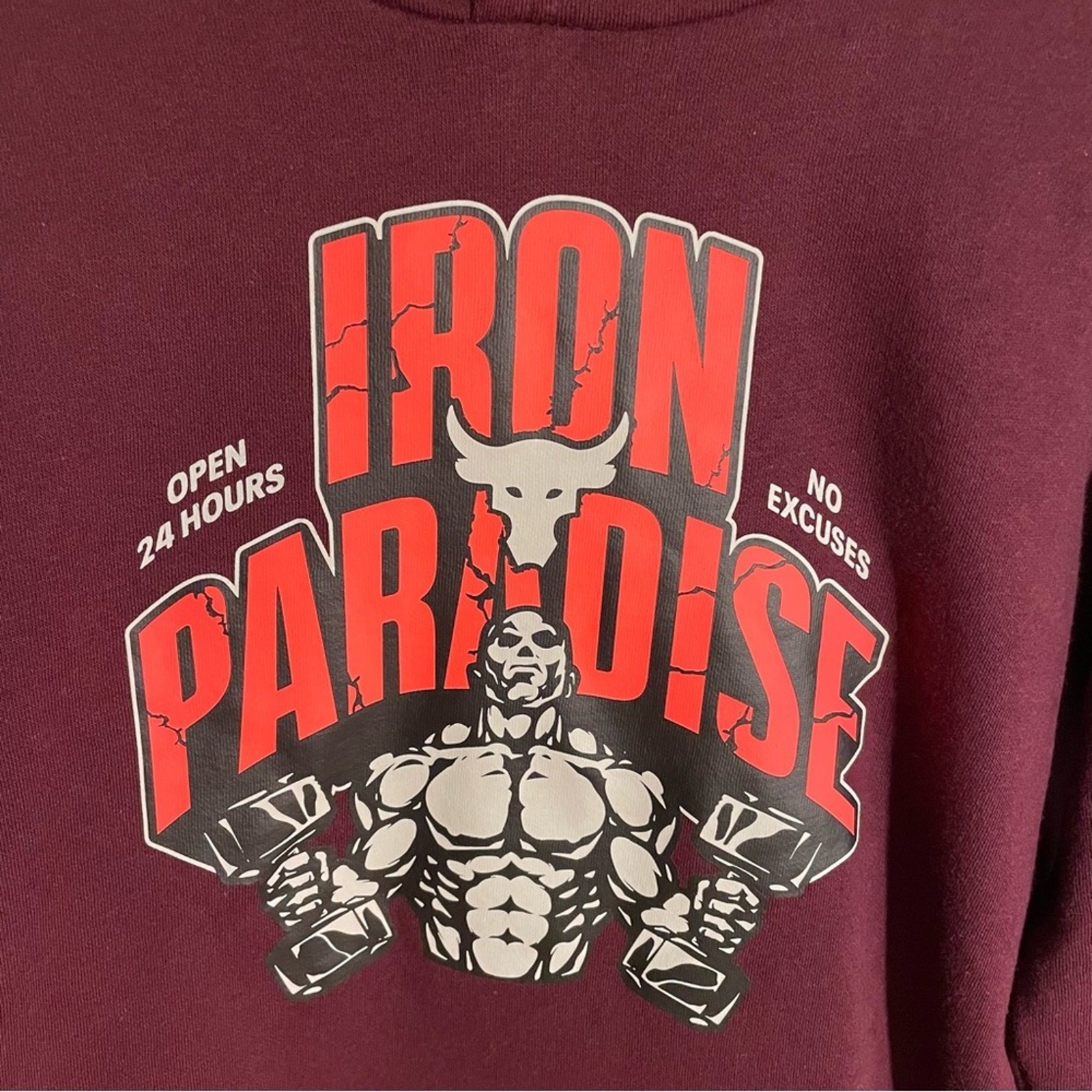 Under Armour Project Rock Rival Fleece Iron Paradise Hooded Sweatshirt Youth XL thumbnail 5