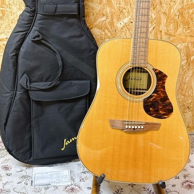 JAMES J-1000DNAT Solid Fishman Tonabnehmer elektrisch akustisch
