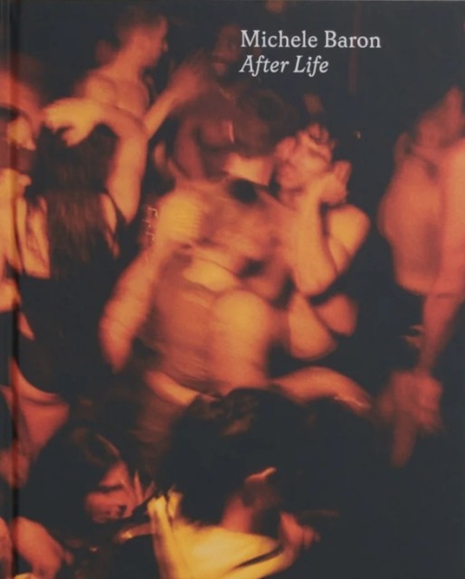 After Life (Paperback Book)