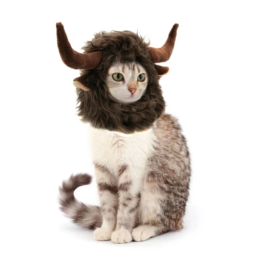 Lion Mane for Cats Funny Halloween Costume for Cats Snoods for Cats - Bild 18 von 42