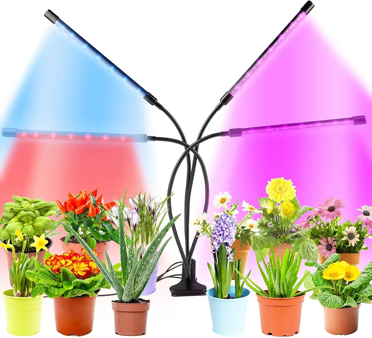 Best led 2024 for plants