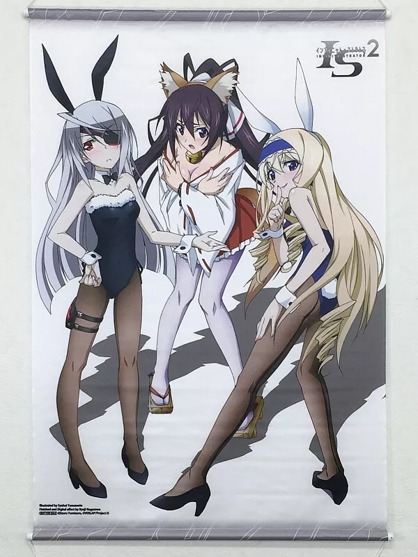 Infinite Stratos 2 | Poster