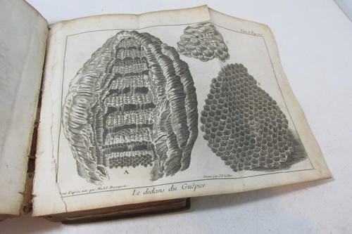 Le Spectacle de La Nature, ou Entretiens..., 1741, Volume 1, illustrated, rare. - Picture 5 of 11