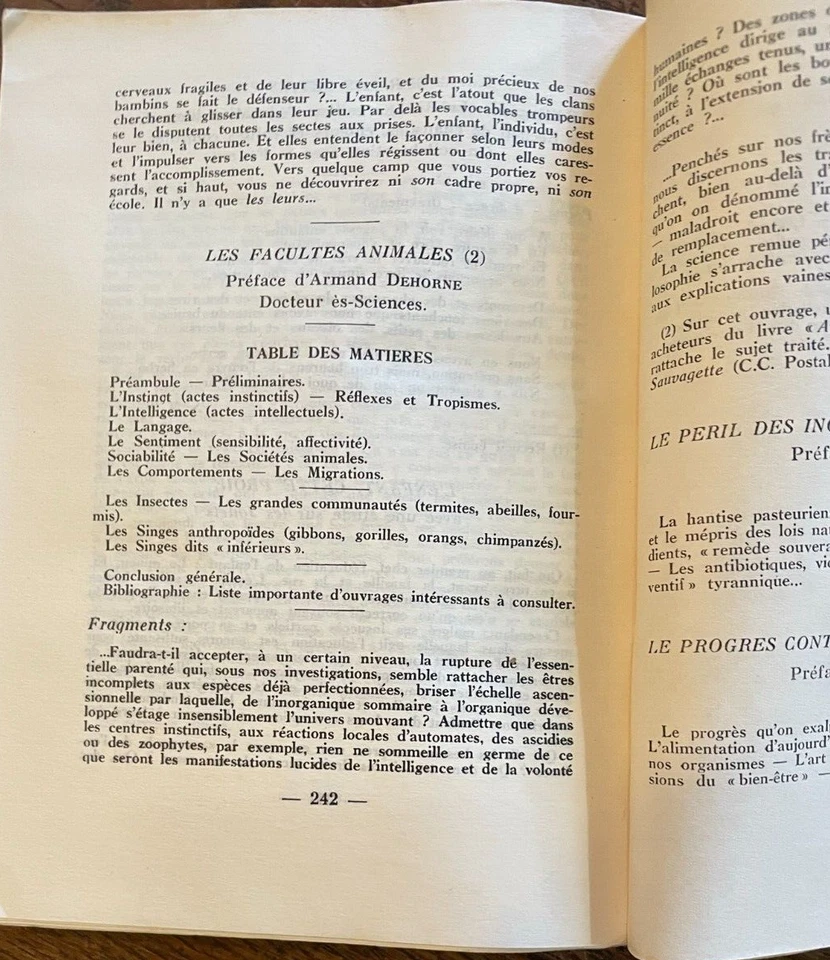 CON LAS APUESTAS cara compañía - Mac Say y Mary Smiles - A15 - Imagen 3 de 4