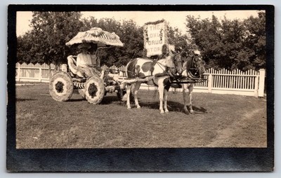 The Owl Drug Store Parade Float Horse-Drawn Wagon c1910 Real Photo RPPC