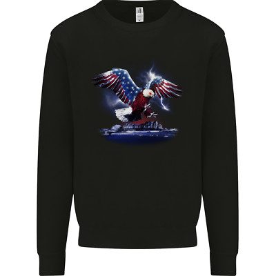 USA American Eagle Herren Sweatshirt Pullover