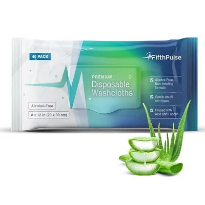 FIFTHPULSE Premoistened Body Wipes For Adult with Aloe Vera and Lanolin (2 x 40 Packs)