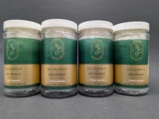 Qty (4)Bath & Body Works Aromatherapy Eucalyptus Spearmint Shower Steamers 4.8oz