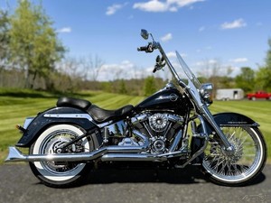 davidson softail deluxe harley softail for sale craigslist