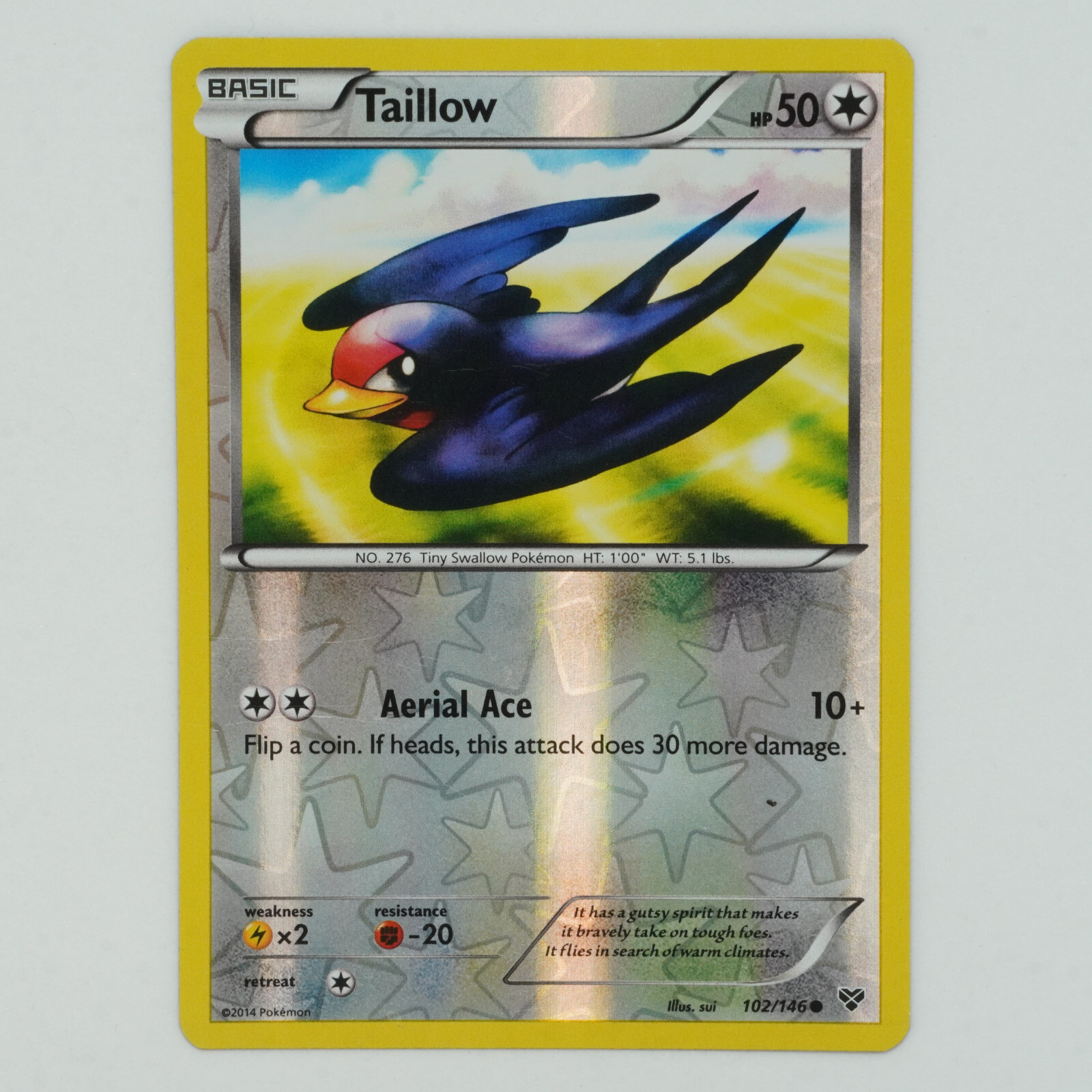 Taillow 102/146 Reverse Holo Common XY Pokemon Card